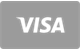 Visa card payment method accepted